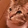 christine2281